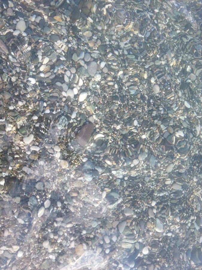 Фото Гостевого дома Гостевой дом Южная Пальмира Пицунда 3